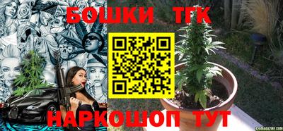 тгк Будённовск