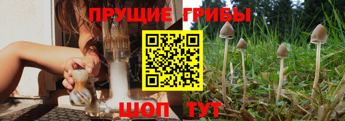 Галлюциногенные грибы прущие грибы  Псилоцибиновые грибы Cubensis  Скопин  Вход с VPN 