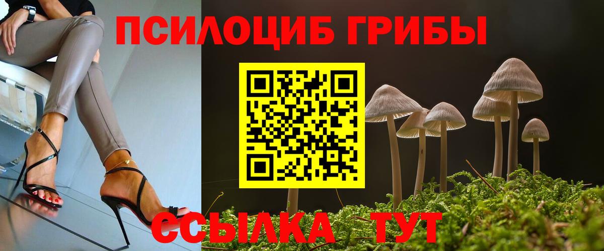 Галлюциногенные грибы прущие грибы Скопин